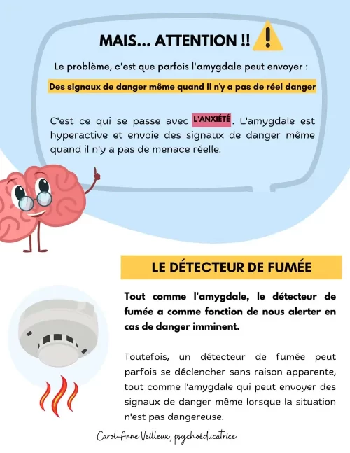 Le système d'alarme du cerveau - Image 3