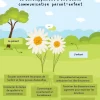 Fleurir ensemble : Développement d'une bonne communication parent-enfant