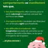 Le Petit Cerveau de Noël - Image 4