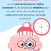 Petit cerveau et la routine – Image 2