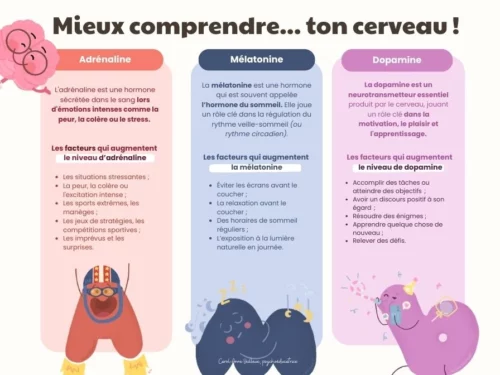 Mieux comprendre ton cerveau - Image 2