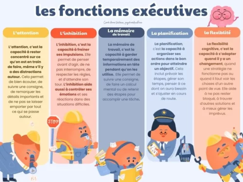 Les fonctions exécutives